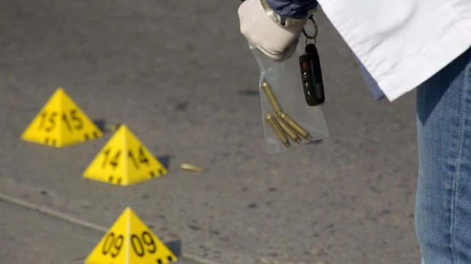 7 bodies and a severed human head found in Jalisco